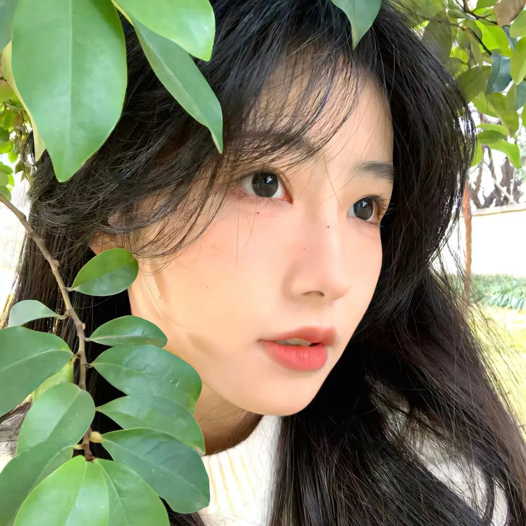 格陵兰雪女