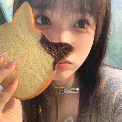 伊普克雷斯档案